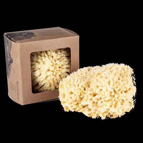 Wool Sponge