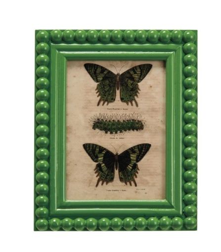 Green Frame with Vintage Butterfly Print