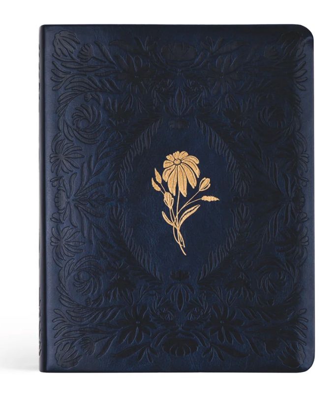 Versailles NLT Notetaking  Bible
