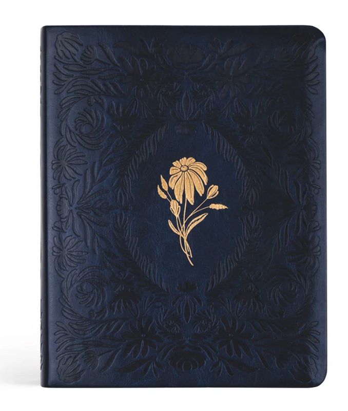 Versailles NLT Notetaking  Bible