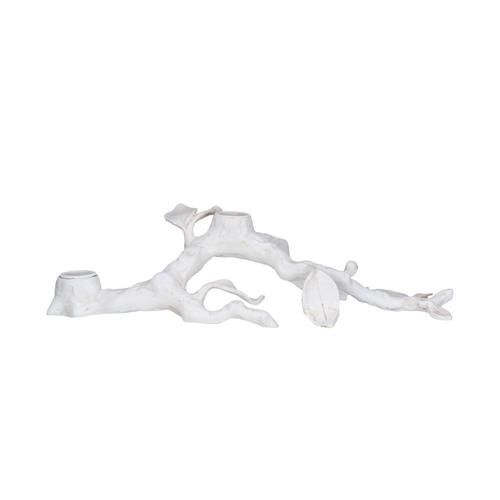 Taper Holder on White Leafy Branch