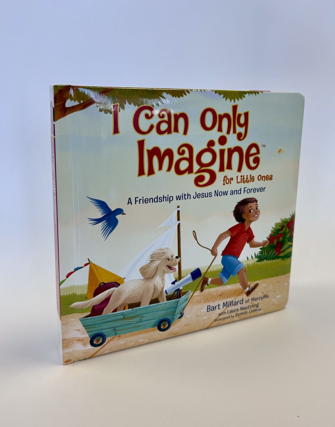 I Can Only Imagine