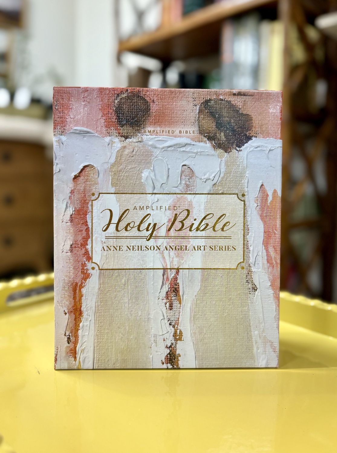 Anne Neilson Amplified Holy Bible