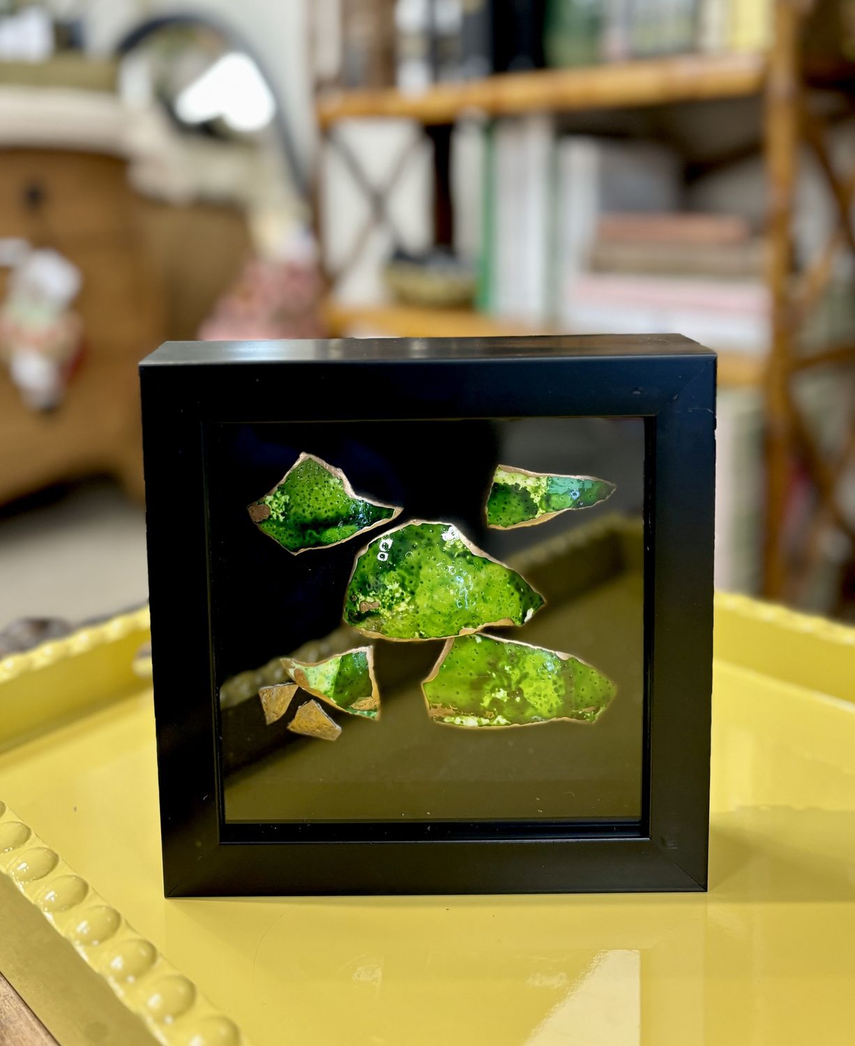 Ostrich Shell Shadow Box, Color: Black/Green