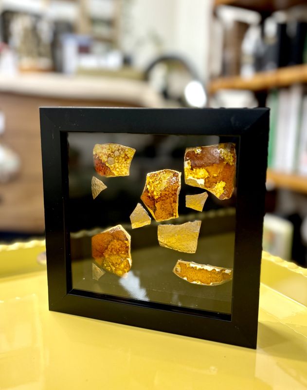Ostrich Shell Shadow Box