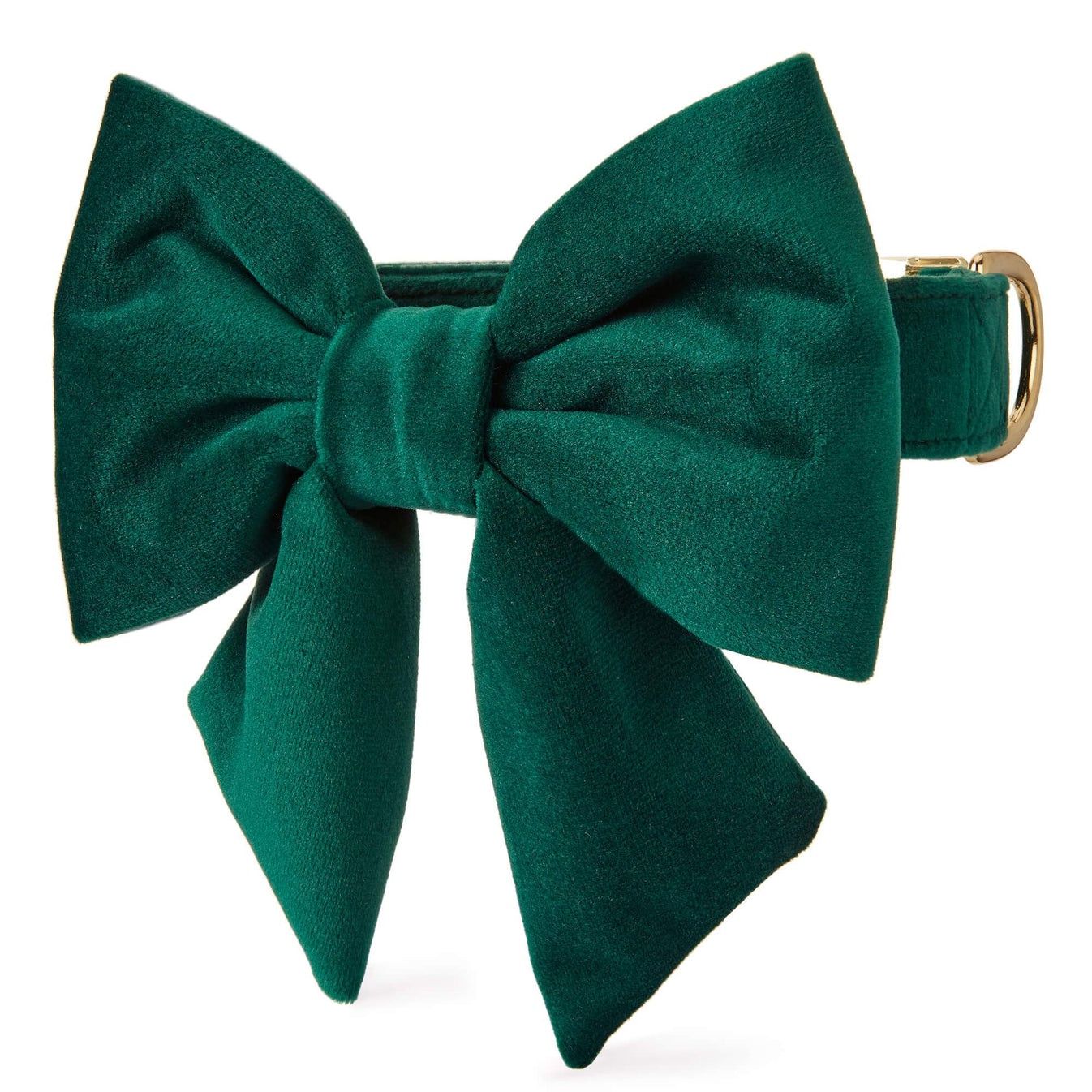 Forest Green Velvet Holiday Dog Bow