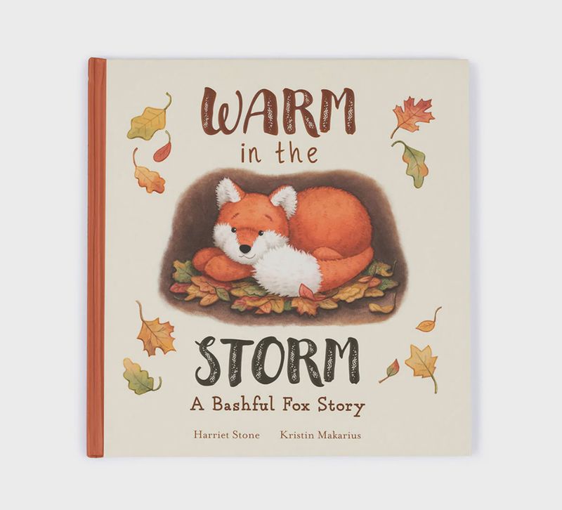 Warm in the Storm Book