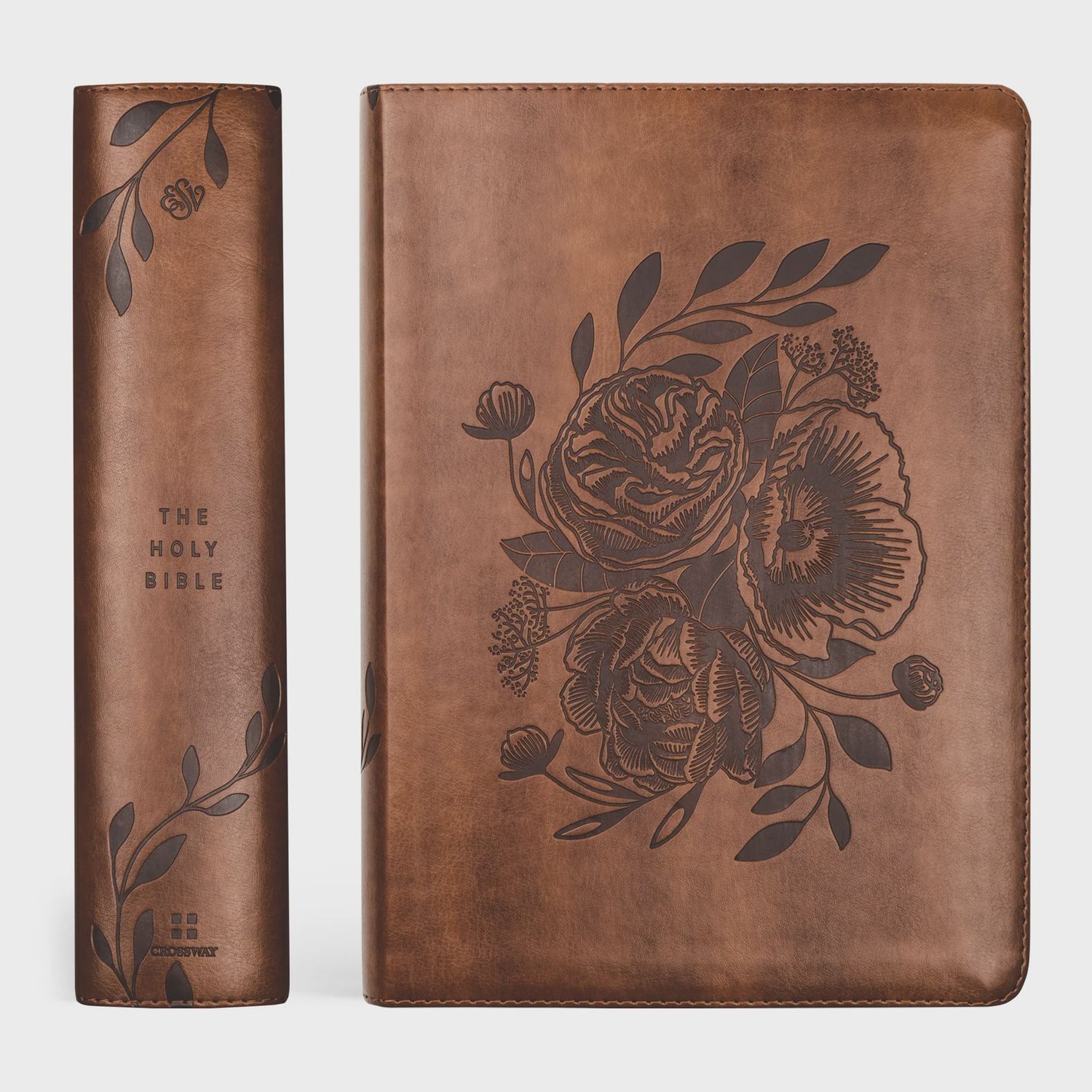 Aurora ESV Study Bible