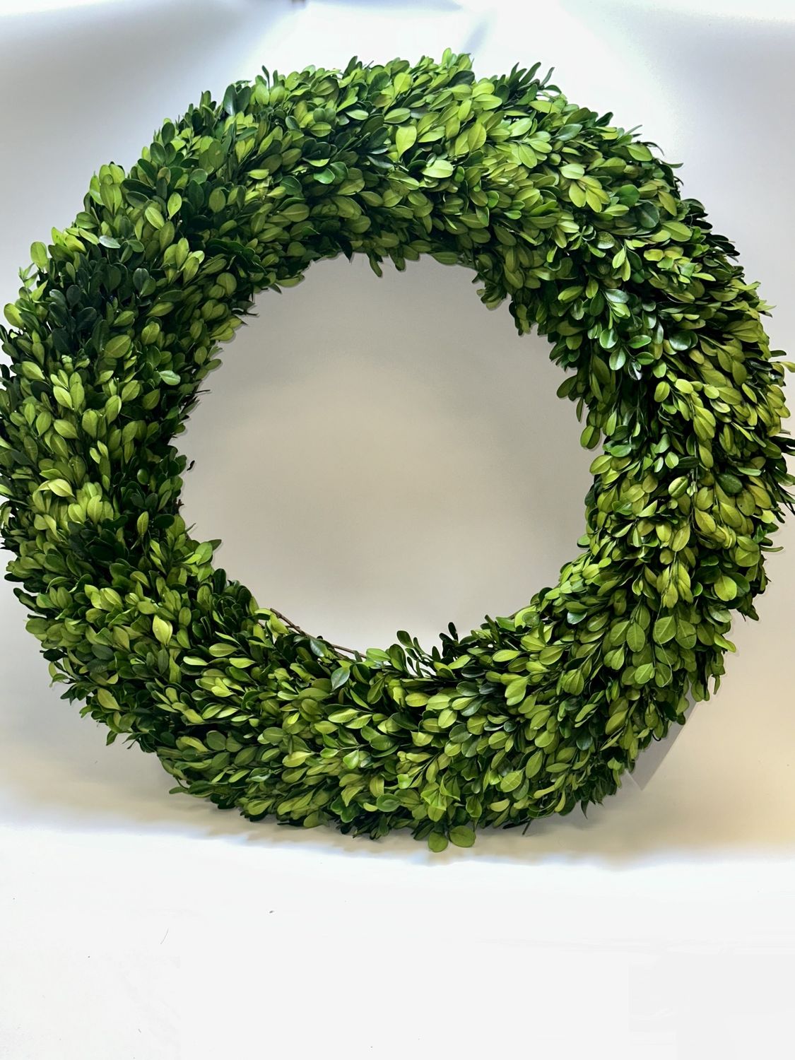 Boxwood Wreath 24&quot;