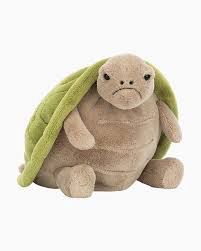 Timmy Turtle