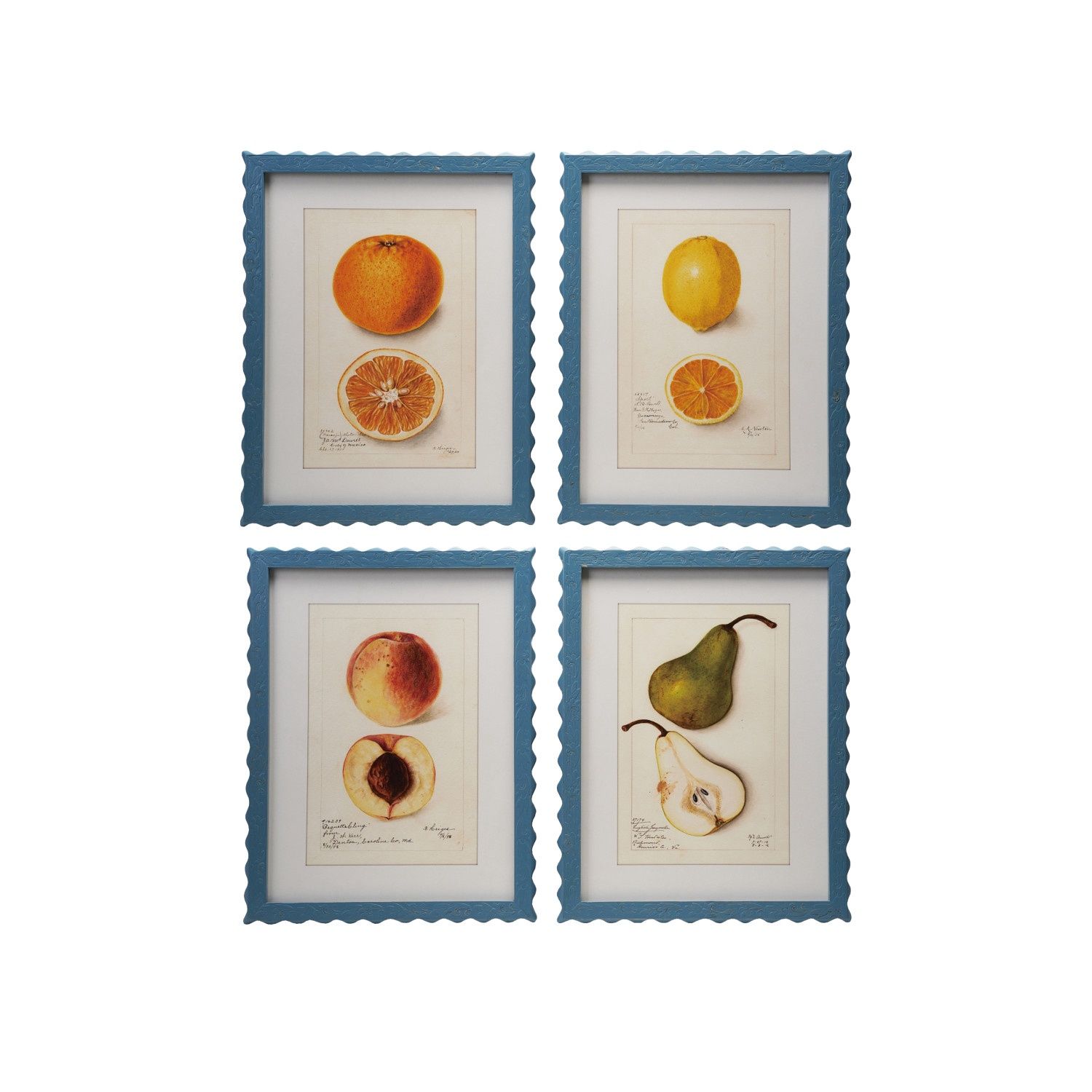 Blue Scalloped Framed Fruit Portrait