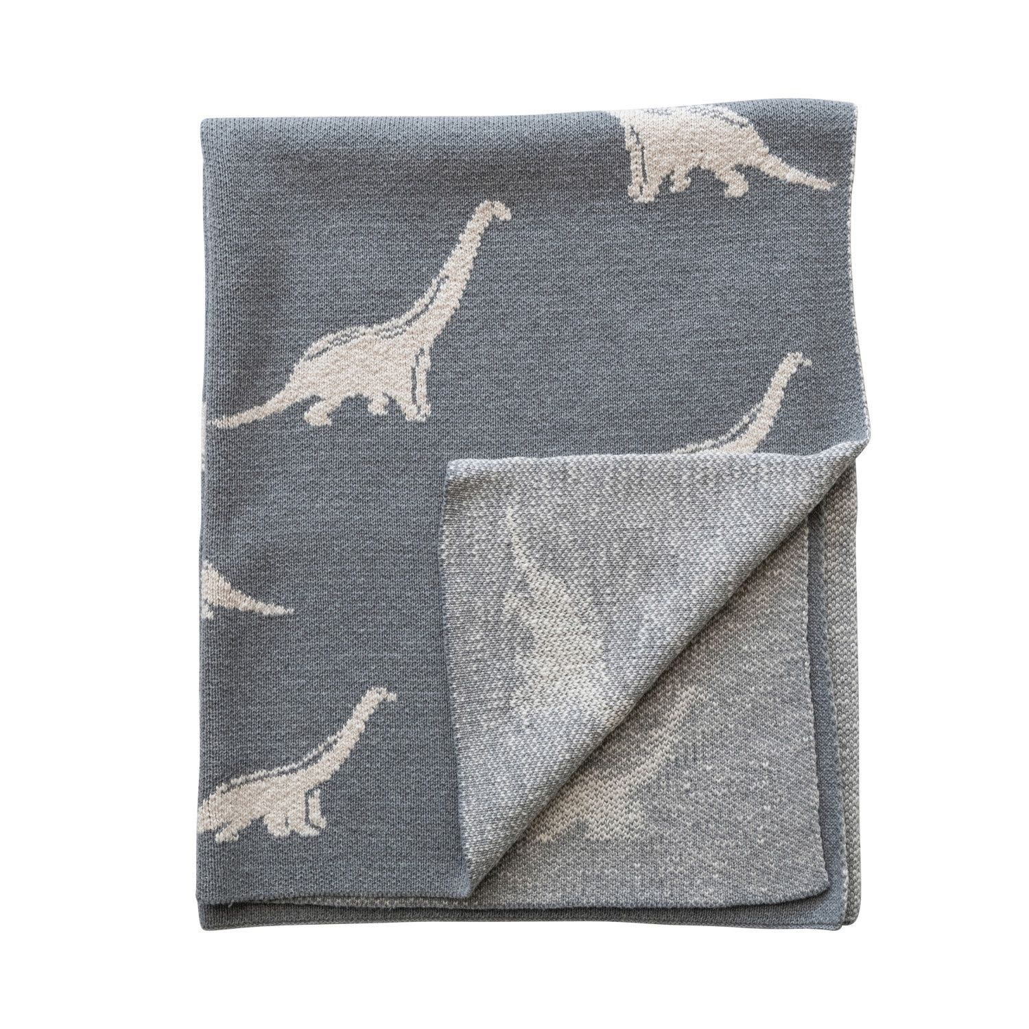 Dinosaur Baby Blanket