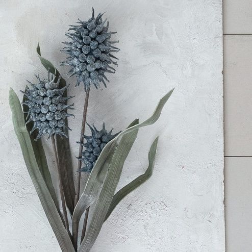 Faux Pod Botanical