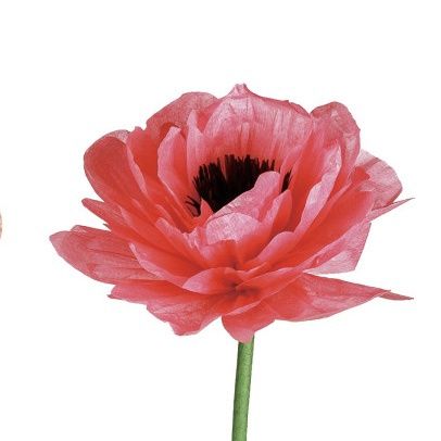 Paper Flower Stand, Color: Red