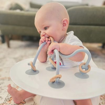 Suction Table Toy