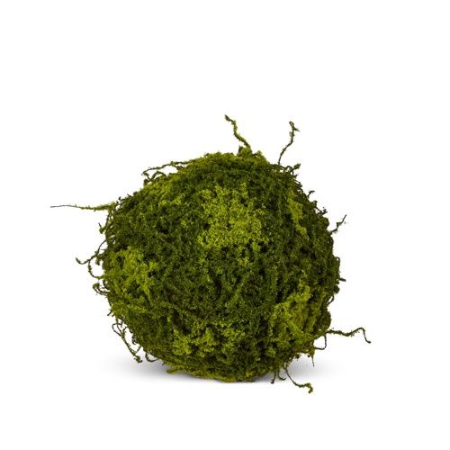 Giant Moss Ball, Size: 10&quot;