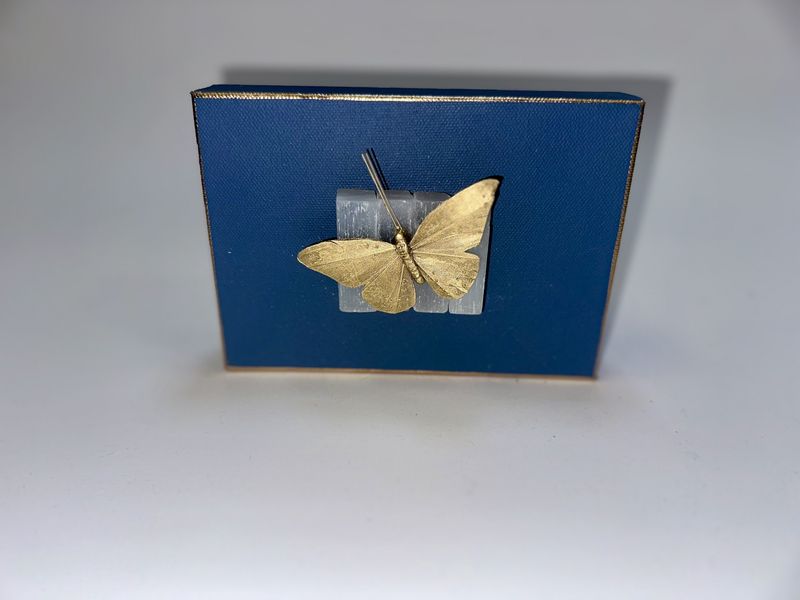 Butterfly Crystal Art