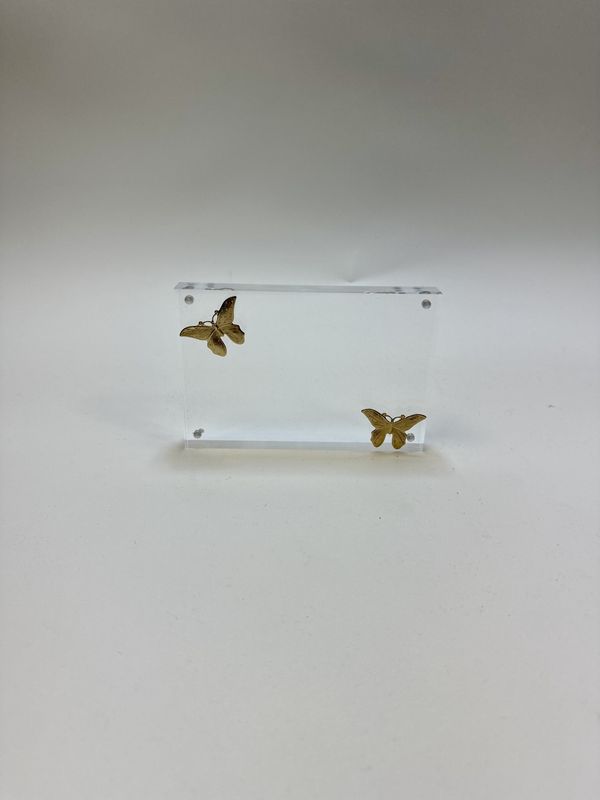 Acrylic Butterfly Frame