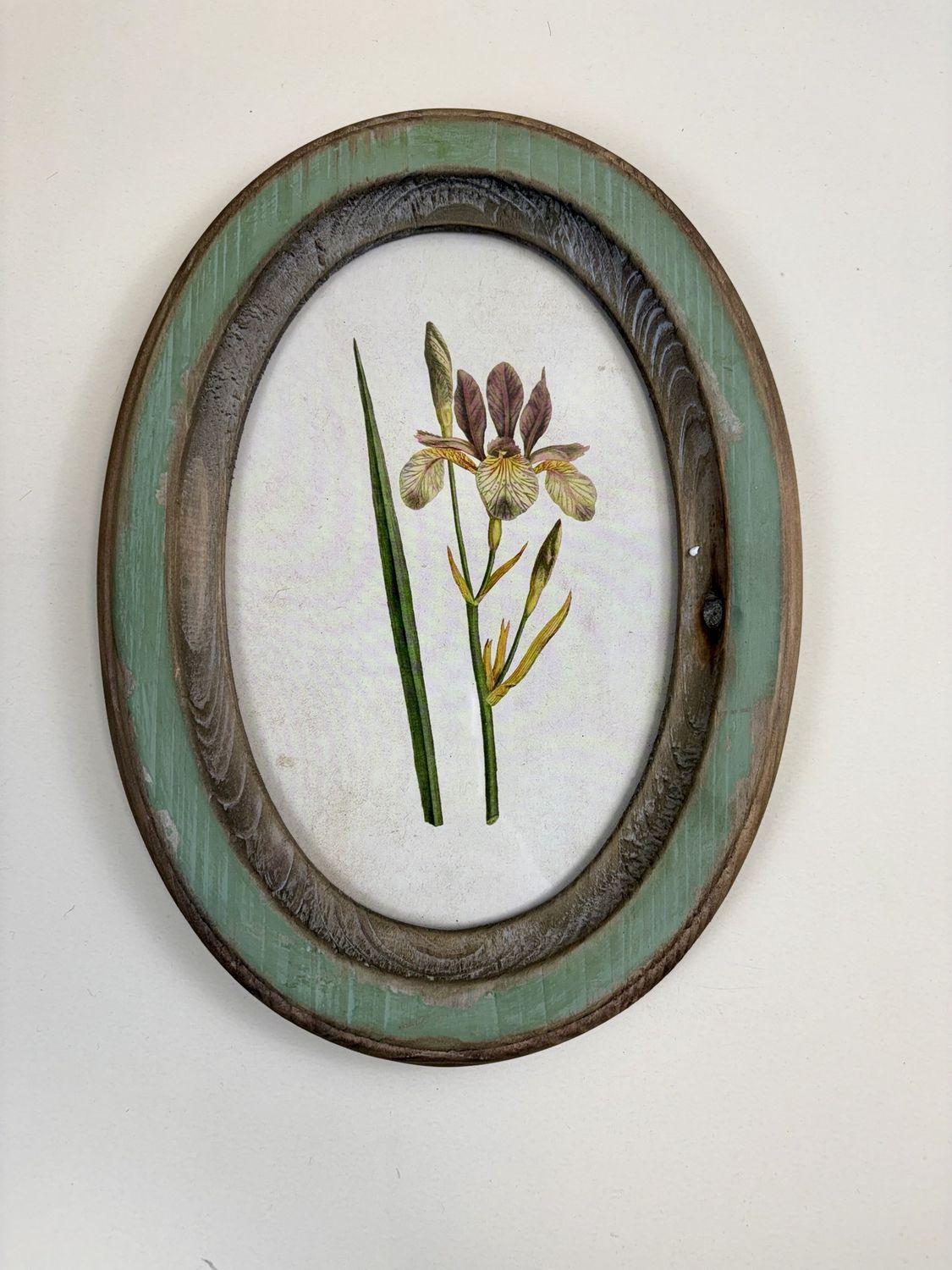 Wood Framed Floral Wall Art, Design: Brown