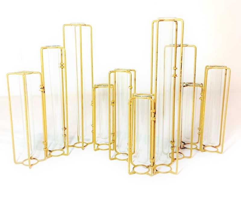 Hinged Test Tube Vase Set/10