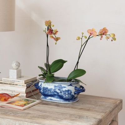 Botanicals &amp; Florals