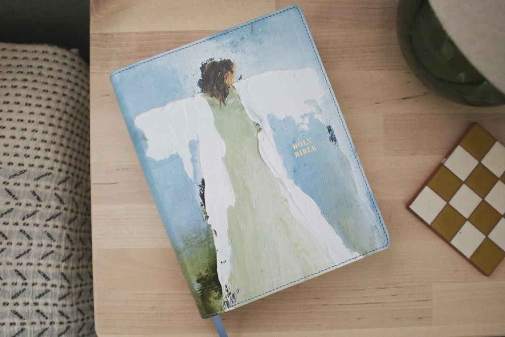 Anne Neilson Amplified Holy Bible Light Blue