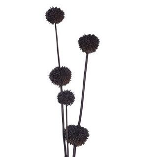 Dried Thistle Botanical, Color: Navy