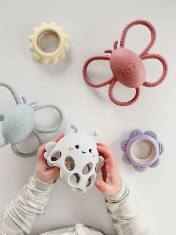 Butterfly Rattle Teether