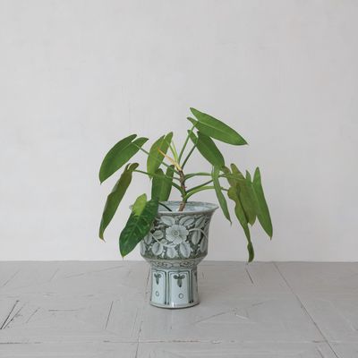 Evergreen Footed Planter