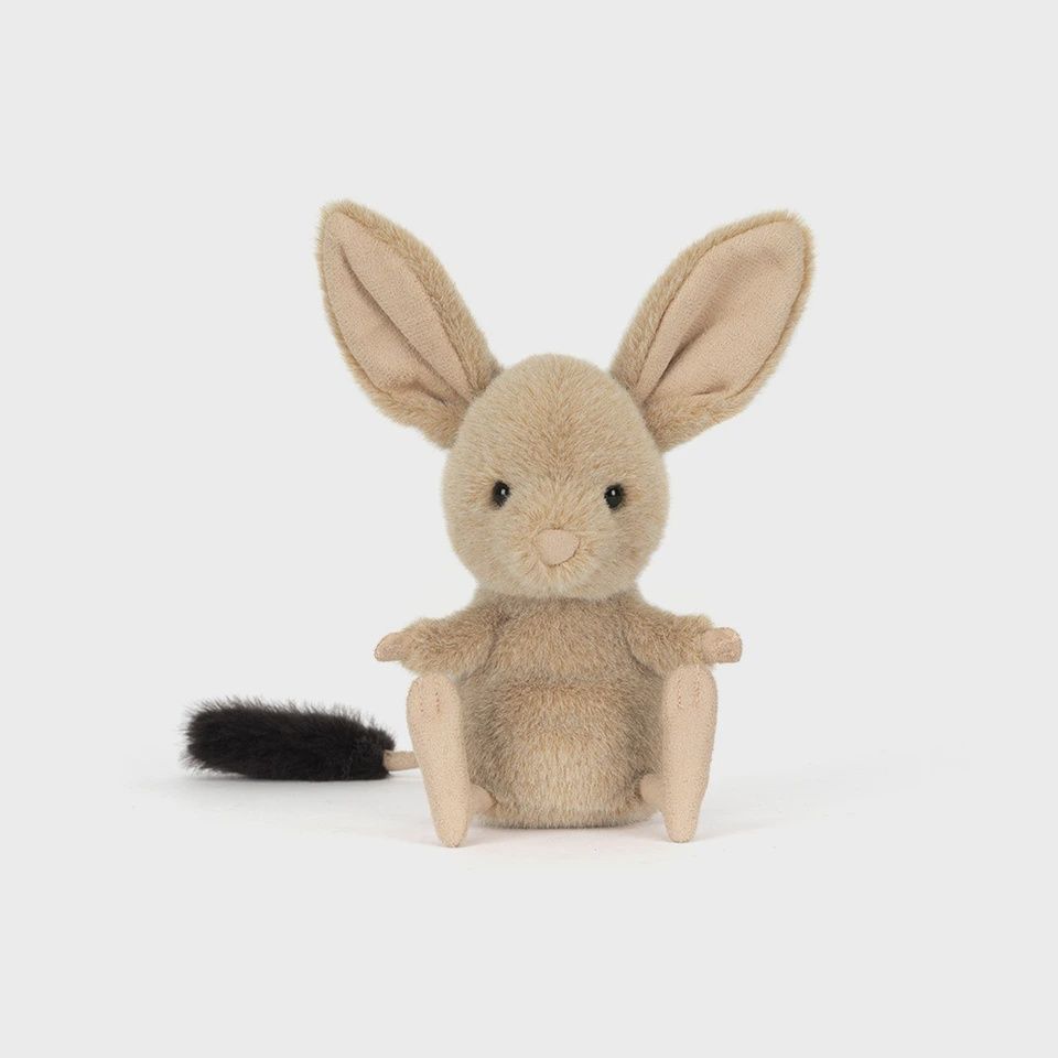 Jerboa Rat