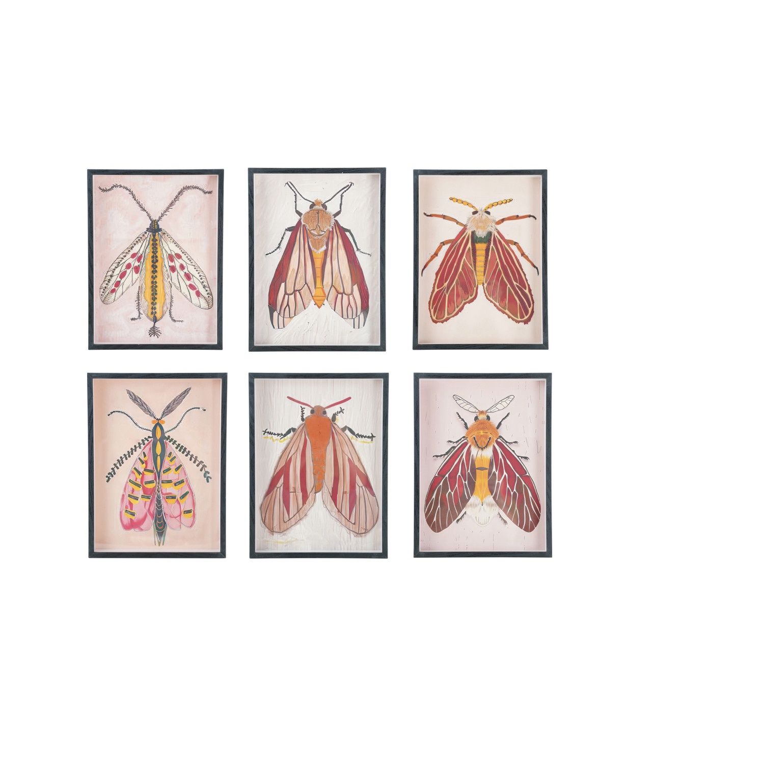 Pink Moth Art