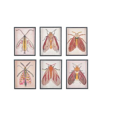 Pink Moth Art