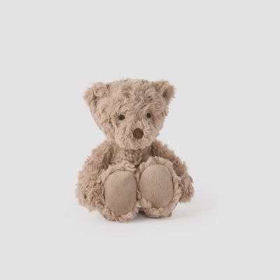 Plush Teddy Bear