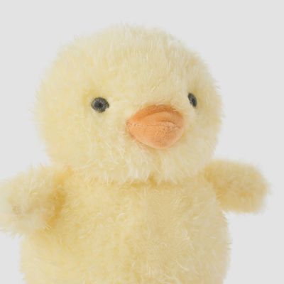 Baby Chick