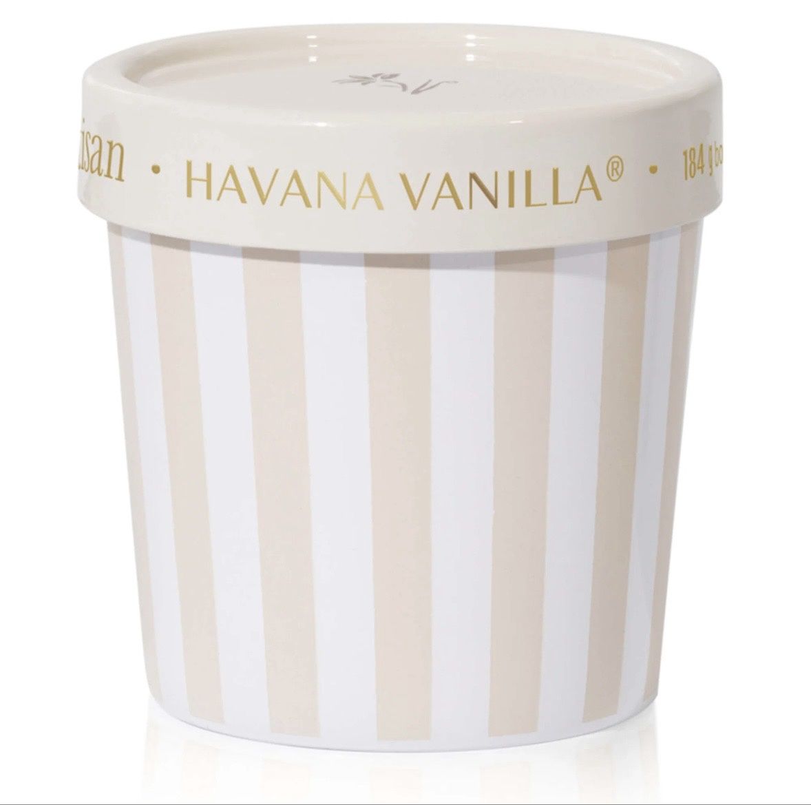 Havana Villa Artisan Gelato Cup