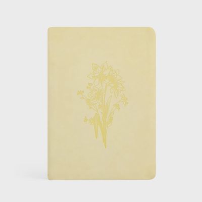 Belfast Notebook