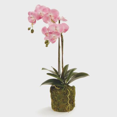 23" Pink Orchid Drop In