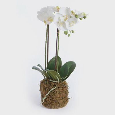 23" White Orchid Drop In
