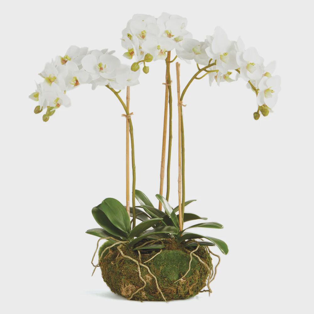 16" Mini Orchid Garden Drop In