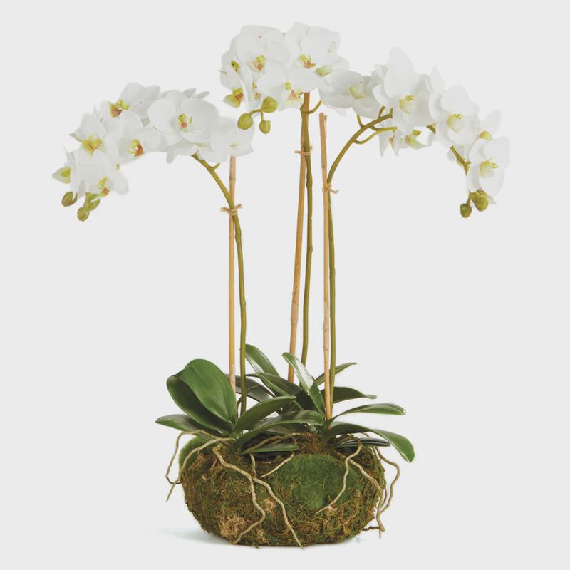 16" Mini Orchid Garden Drop In