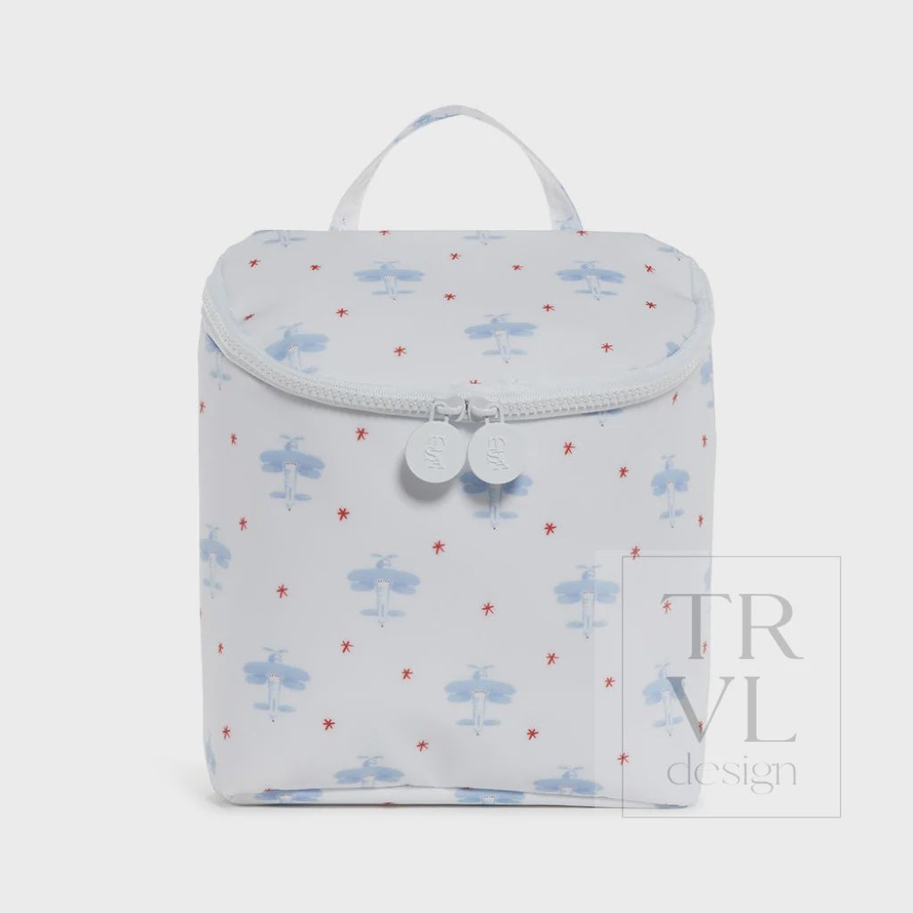 Davids Airplane Take Away Lunch Bag