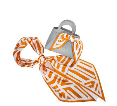 Game Day Accessory Scarf