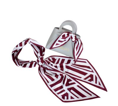 Game Day Accessory Scarf