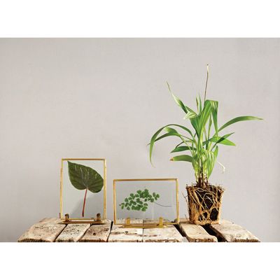Botanist Frame