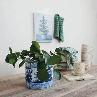 Indigo Botanica Planter