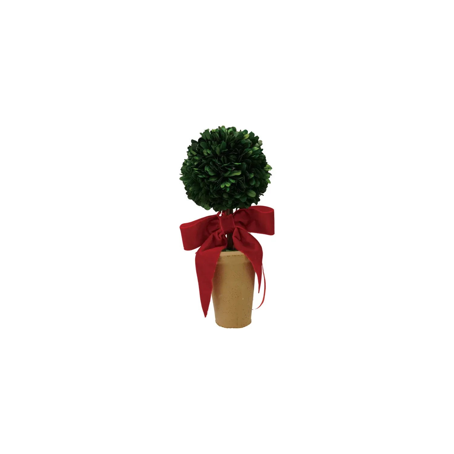 Boxwood Topiary with Velvet Bow