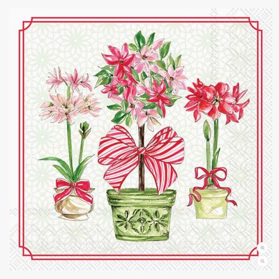 Holiday Poinsettias Cocktail Napkins