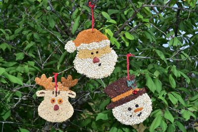 Christmas Cookie Birdseed Ornament