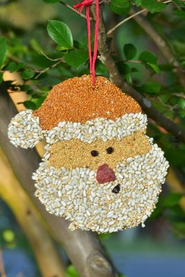 Christmas Cookie Birdseed Ornament