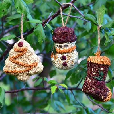 Mr. Bird Seed Ornament Trio